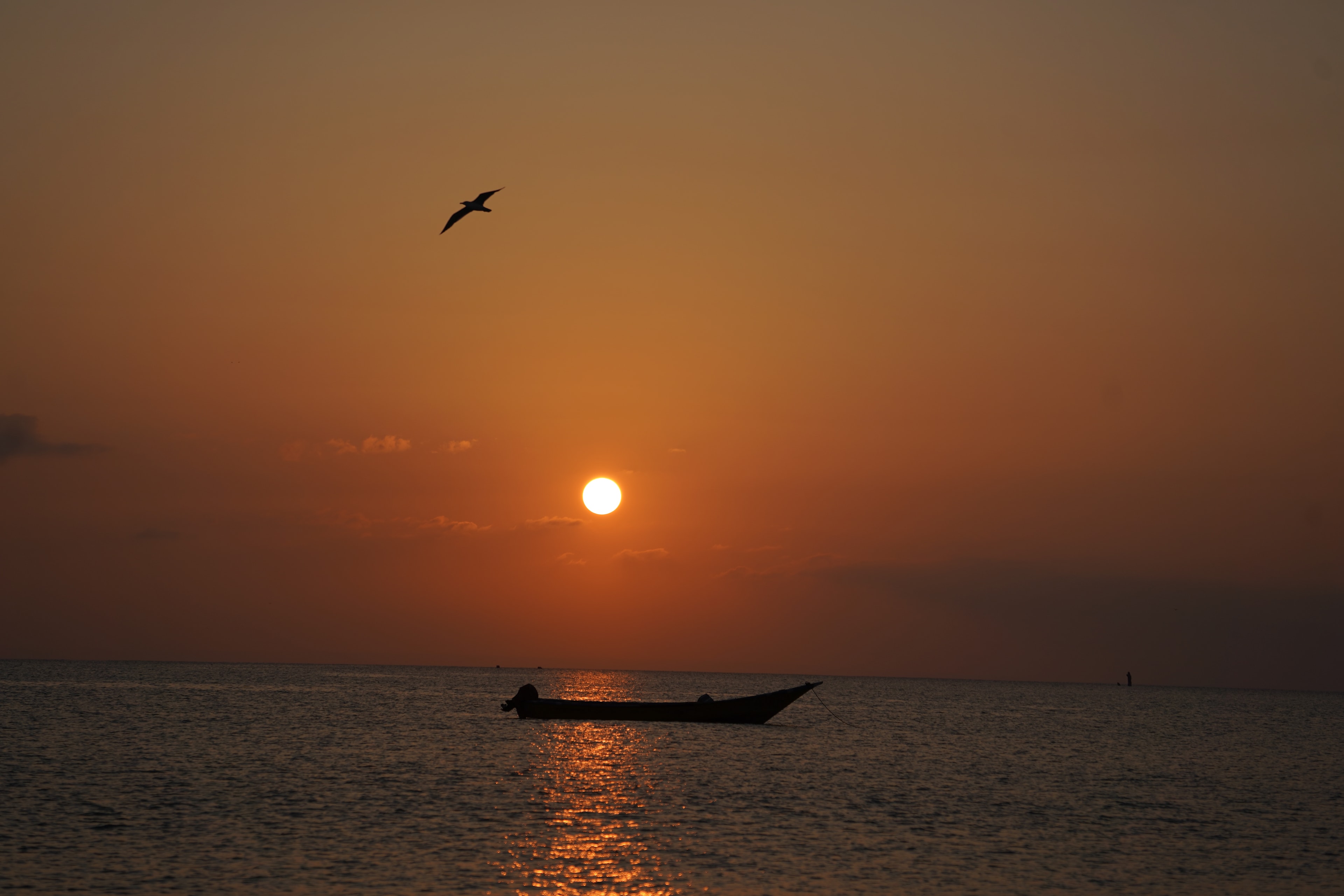 Sunset Silence